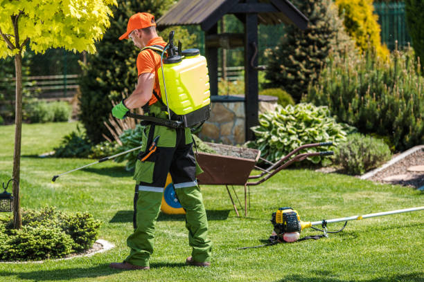 Best Bee and Wasp Removal  in Boardman, OR